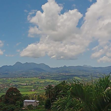 Martinique Vue D'Exception Et Piscine Villa Le Lamentin Exterior photo